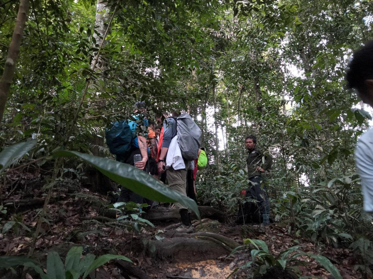 Asim Paris Guesthouse & Jungle Trekking Bukit Lawang Dış mekan fotoğraf