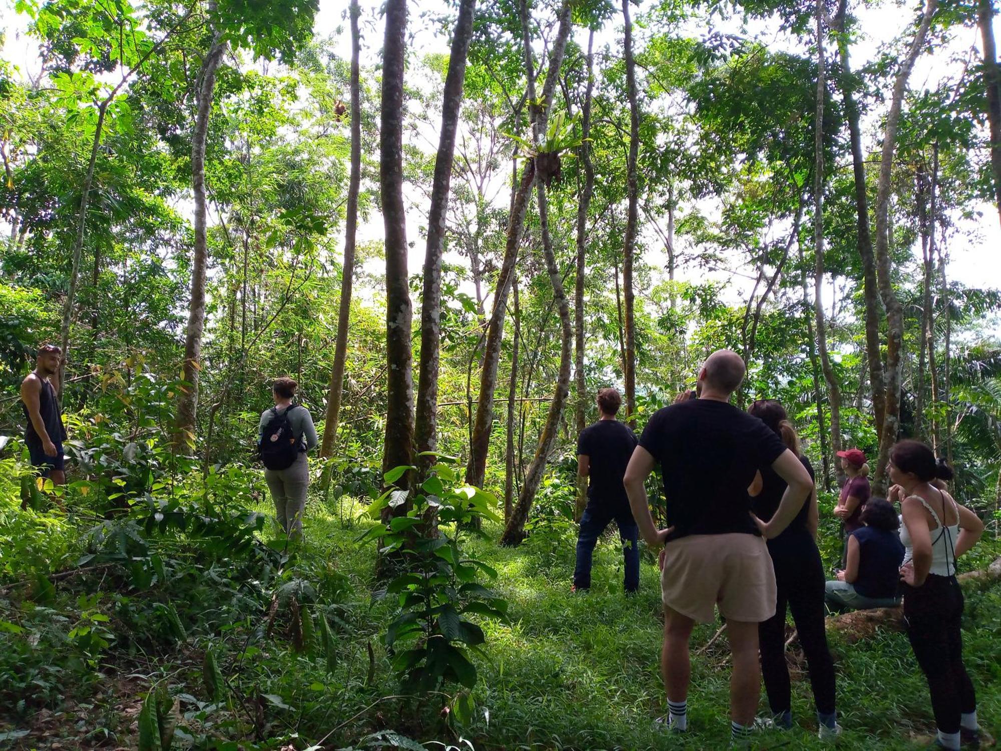 Asim Paris Guesthouse & Jungle Trekking Bukit Lawang Dış mekan fotoğraf