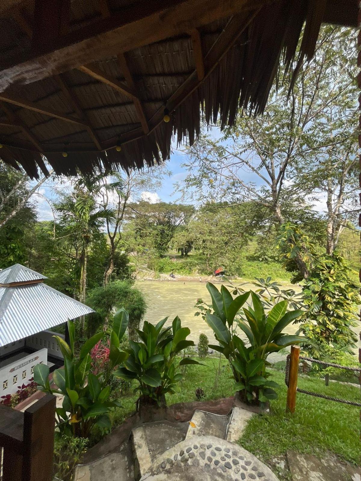 Asim Paris Guesthouse & Jungle Trekking Bukit Lawang Dış mekan fotoğraf