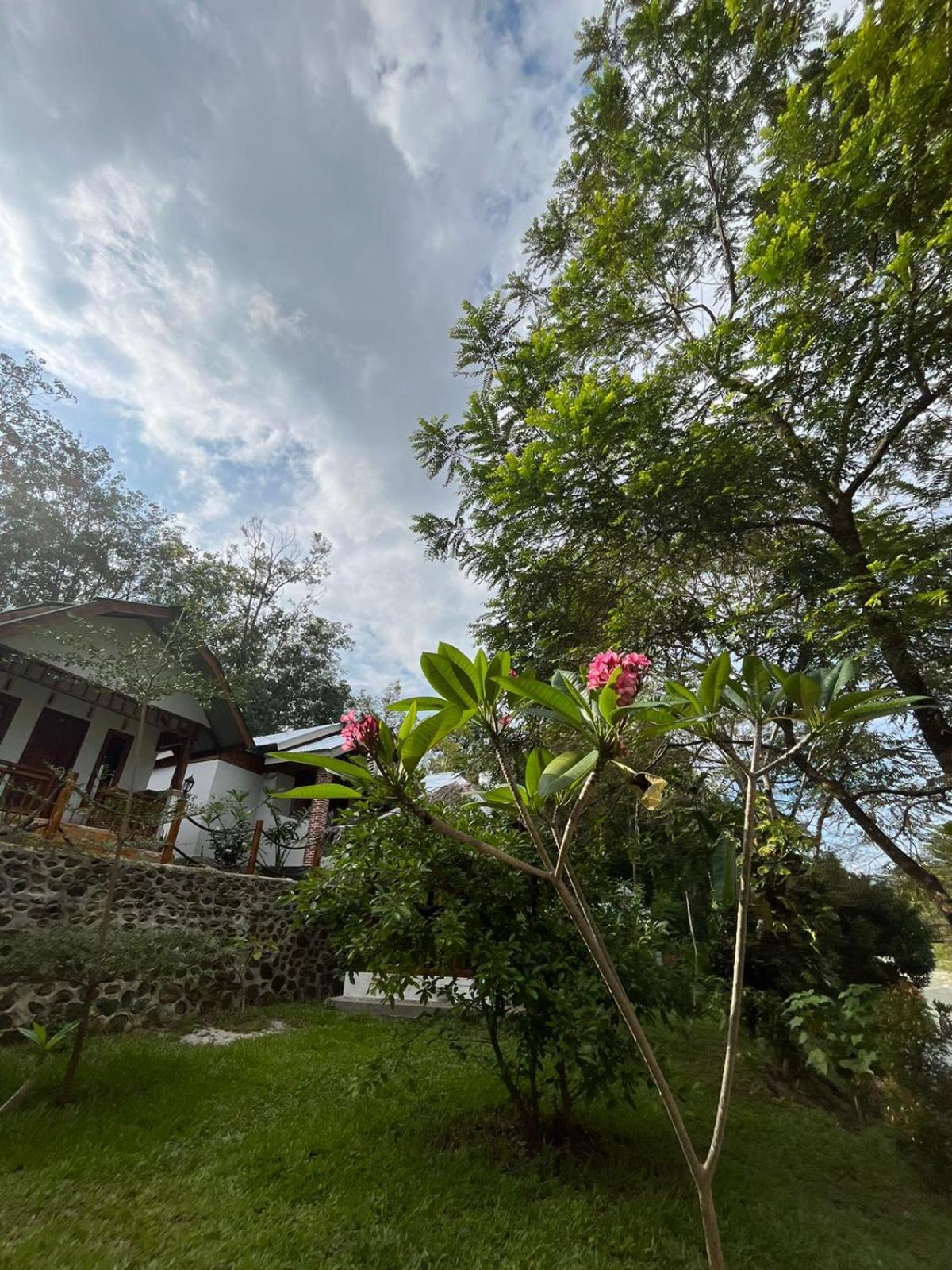 Asim Paris Guesthouse & Jungle Trekking Bukit Lawang Dış mekan fotoğraf