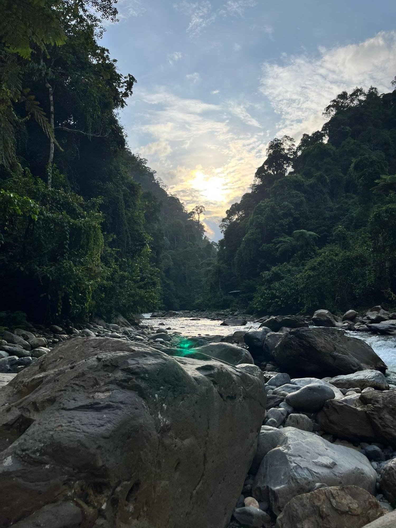 Asim Paris Guesthouse & Jungle Trekking Bukit Lawang Dış mekan fotoğraf
