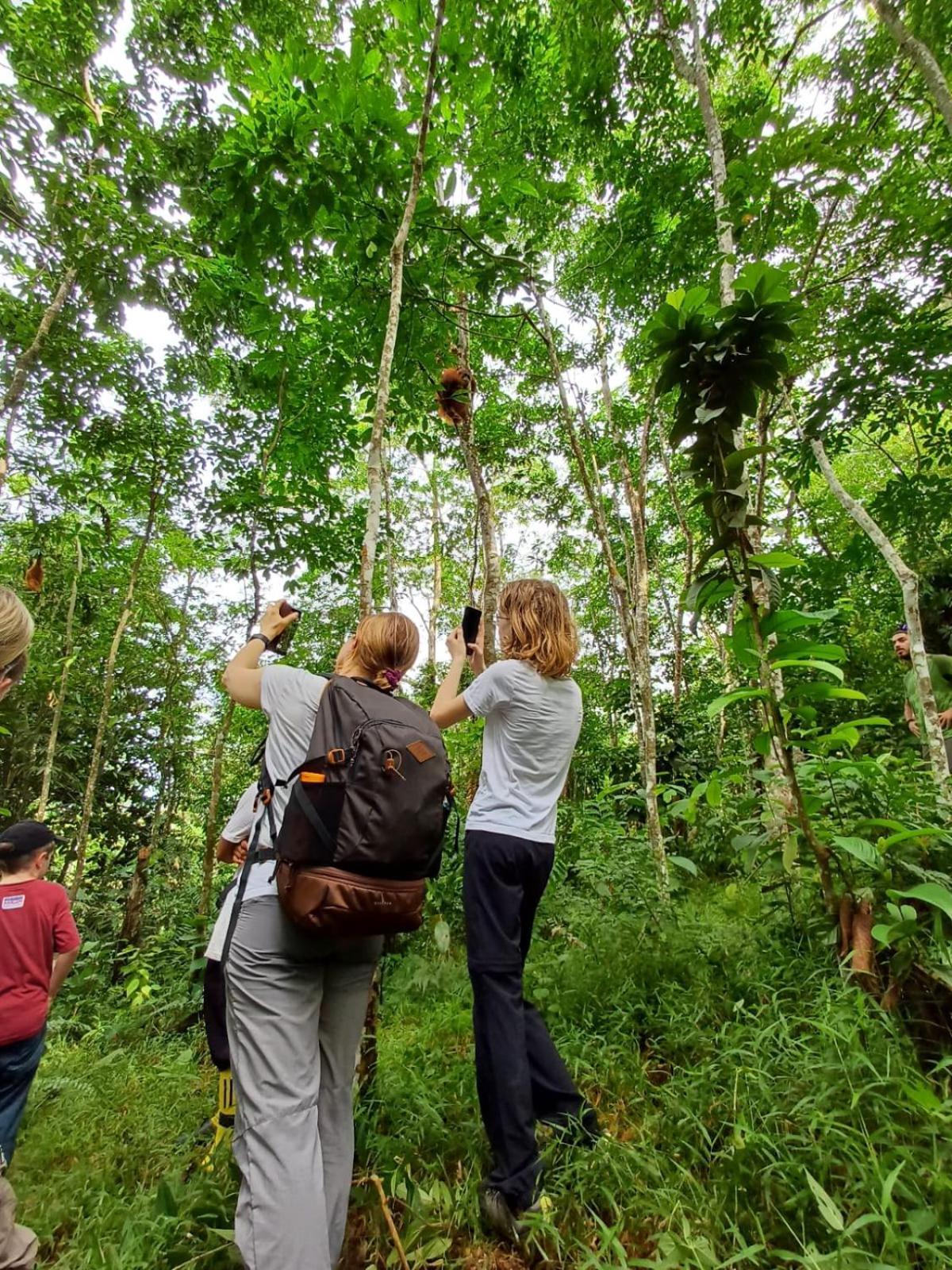 Asim Paris Guesthouse & Jungle Trekking Bukit Lawang Dış mekan fotoğraf