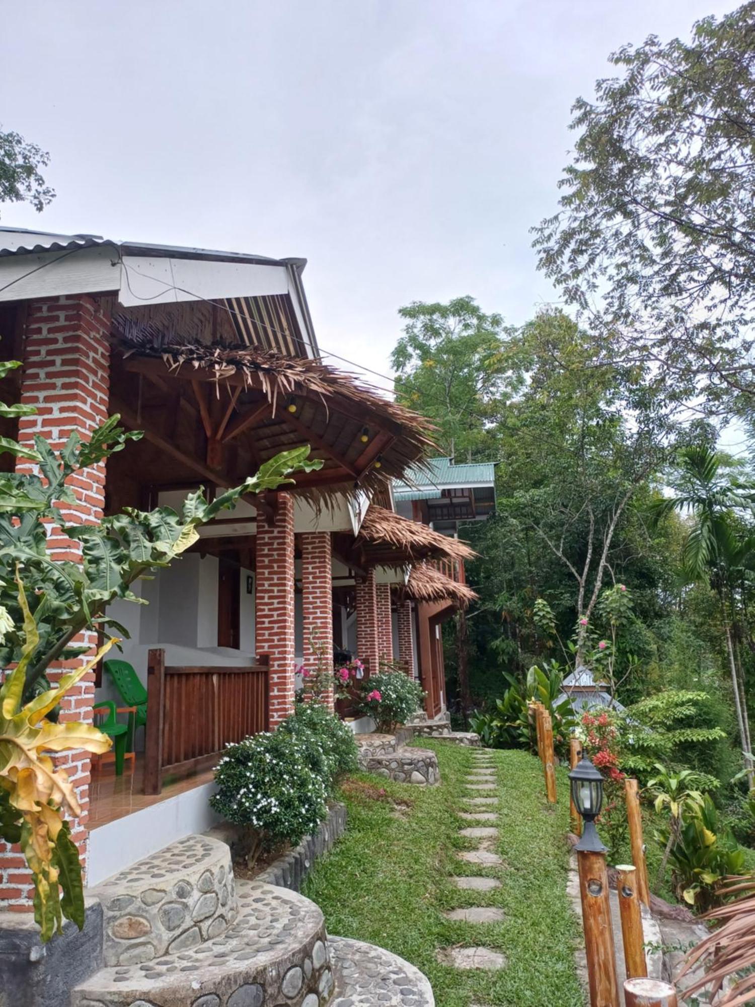 Asim Paris Guesthouse & Jungle Trekking Bukit Lawang Dış mekan fotoğraf