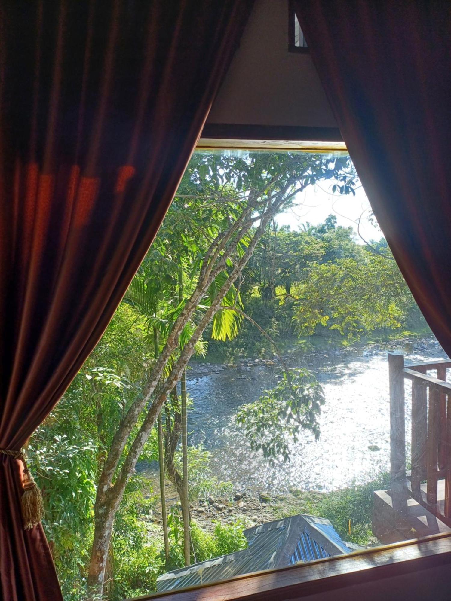 Asim Paris Guesthouse & Jungle Trekking Bukit Lawang Dış mekan fotoğraf