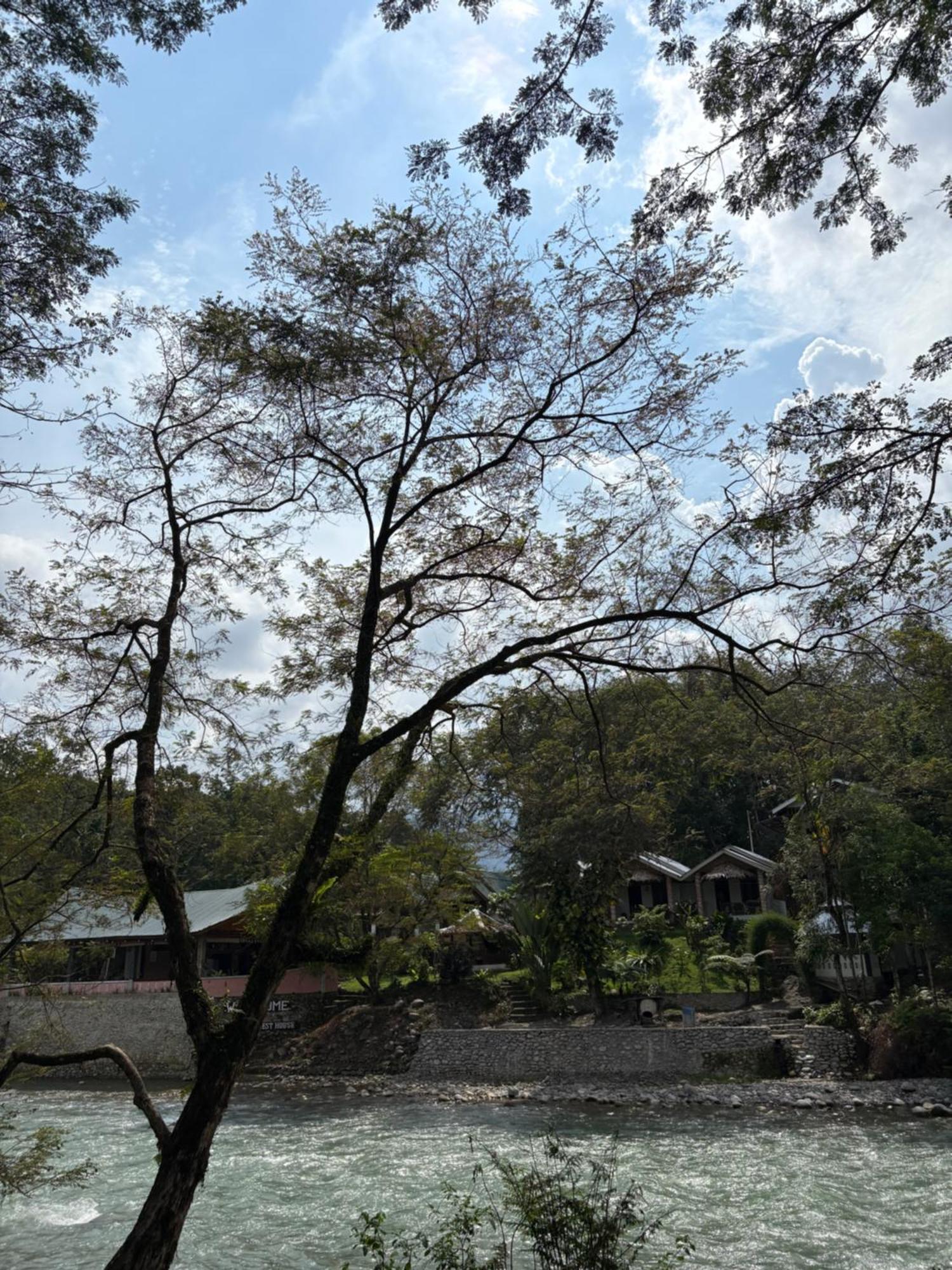 Asim Paris Guesthouse & Jungle Trekking Bukit Lawang Dış mekan fotoğraf