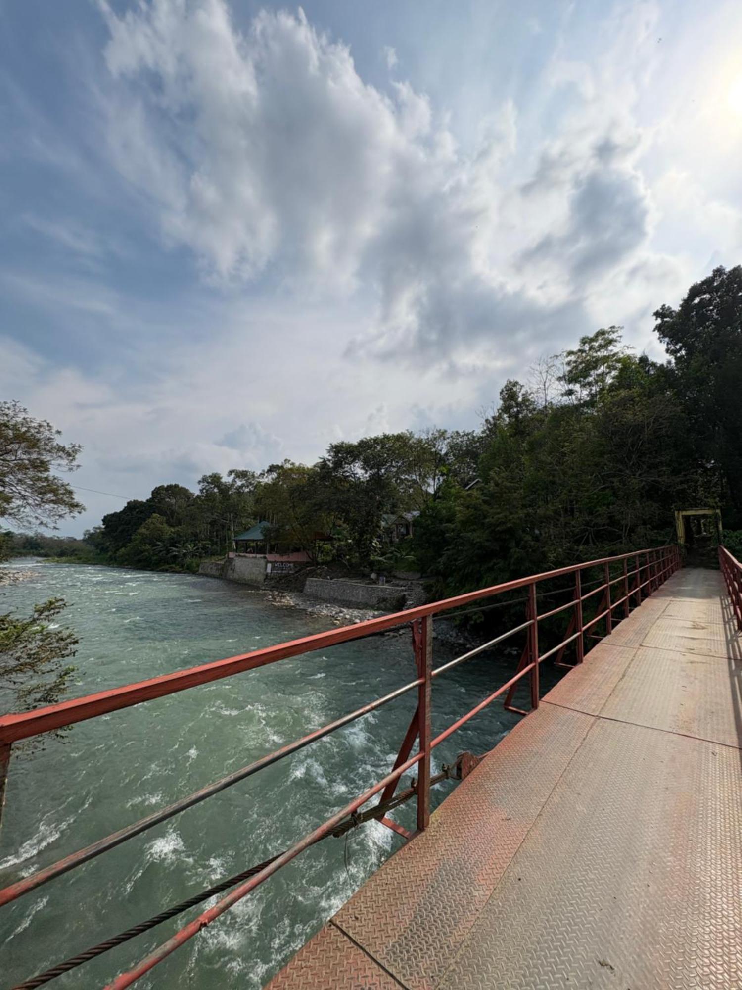 Asim Paris Guesthouse & Jungle Trekking Bukit Lawang Dış mekan fotoğraf
