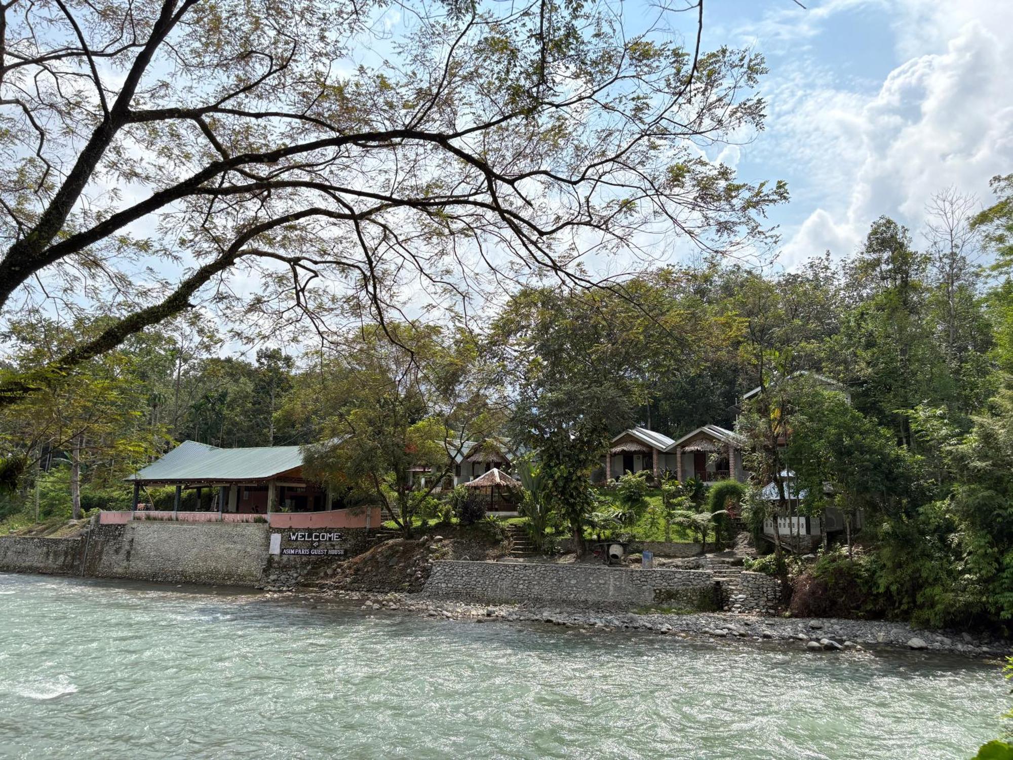 Asim Paris Guesthouse & Jungle Trekking Bukit Lawang Dış mekan fotoğraf