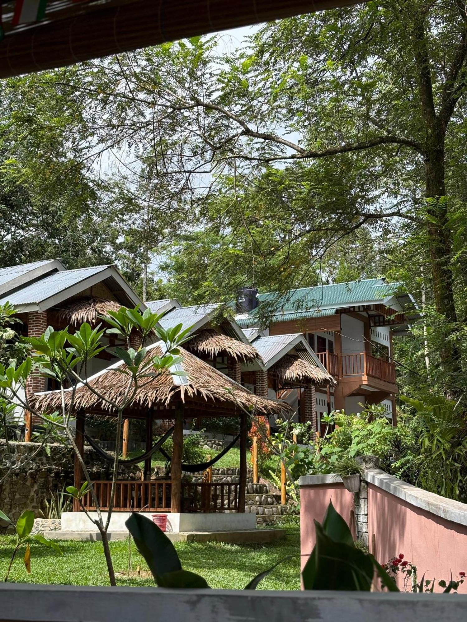 Asim Paris Guesthouse & Jungle Trekking Bukit Lawang Dış mekan fotoğraf